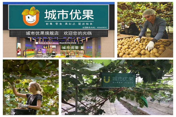 城市优果鲜果零售加盟代理店
