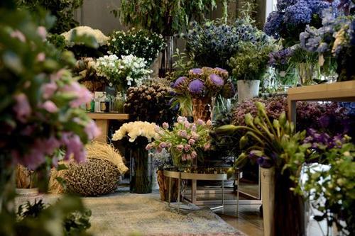 芙兰朵花店加盟费_芙兰朵花店加盟电话_芙兰朵花店