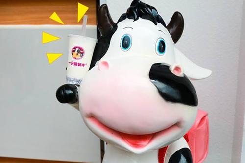 一只酸奶牛加盟费用多少/一只酸奶牛加盟总部