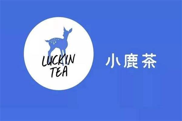 小鹿茶加盟费用多少_加盟利润_加盟代理条