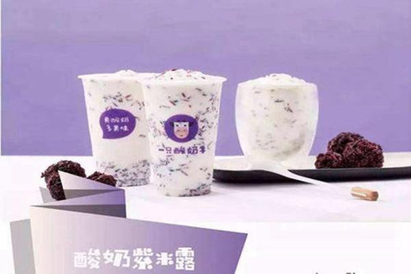2025一只酸奶牛加盟费明细一览表！一只酸奶牛加盟条件、流程