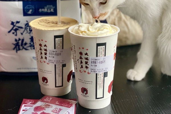 2026(最新)茶颜悦色奶茶加盟费明细!加盟条件+加盟流程