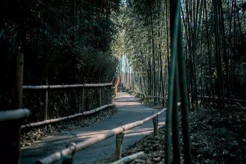 在抖音火了的竹纤维衬衫,真能自带降温效果?
(图1) 在抖音火了的竹纤维衬衫,真能自带降温效果?
(图1)
