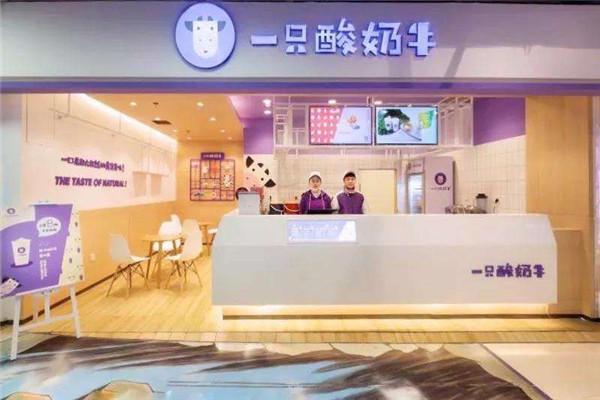 一只酸奶牛加盟费用投资大约多少钱?一只酸奶牛利润分析(图2)