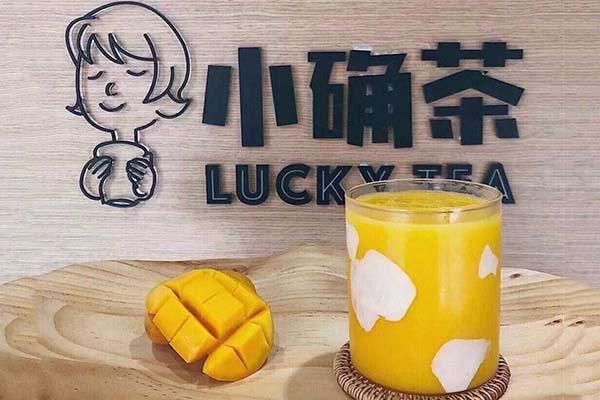 小确茶加盟费用?小确茶加盟总部电话(图1) 小确茶加盟费用?小确茶加盟总部电话(图1)