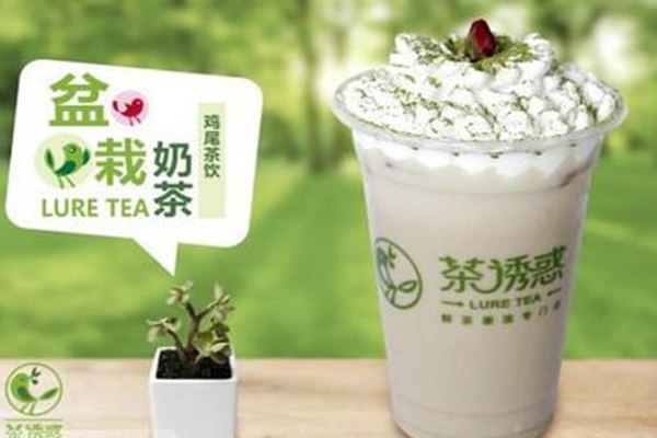 茶诱惑奶茶加盟费用?茶诱惑奶茶加盟总部(图1) 茶诱惑奶茶加盟费用?茶诱惑奶茶加盟总部(图1)