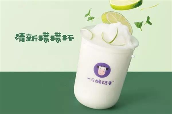 上海一只酸奶牛加盟分店多吗？想代理需要先了解证件办理手续(图3)