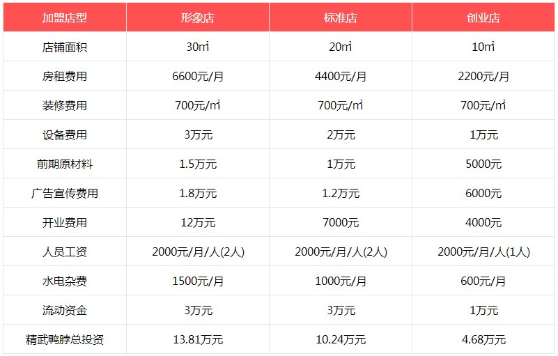 精武鸭脖投资数据表
