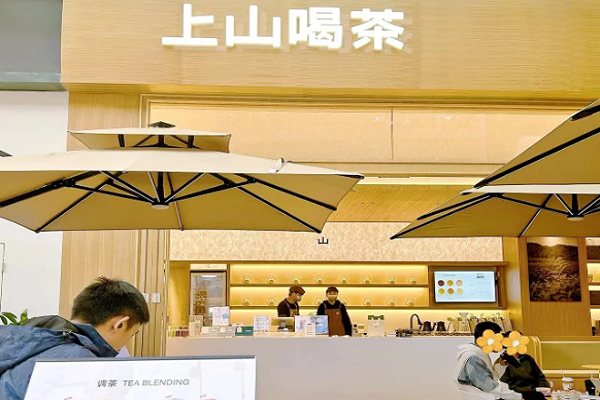 上山喝茶加盟官网电话