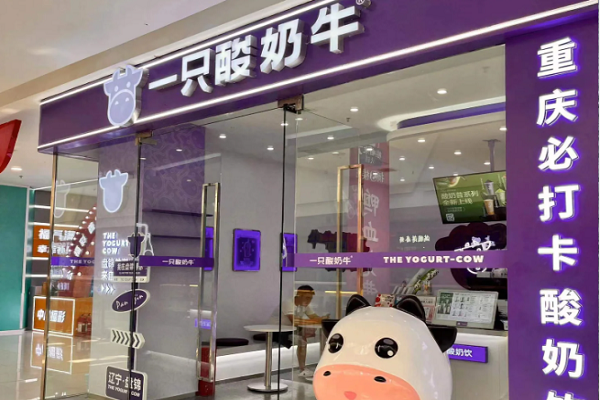 一只酸奶牛加盟费