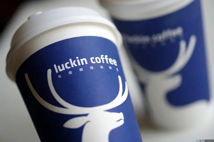 luckin coffee加盟官网是哪个？加盟流程是什么(图1)