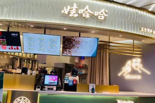 娃哈哈奶茶加盟费用