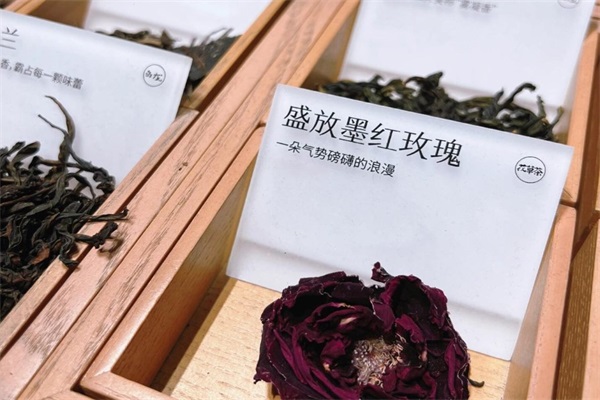 Teastone·新式茶馆加盟费多少钱？2024Teastone茶馆加盟条件及加盟流程!