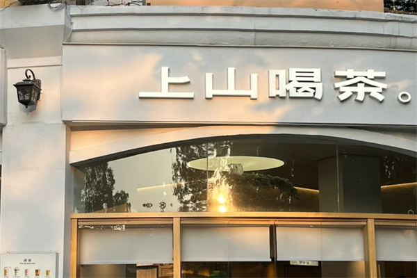 上山喝茶加盟费明细表