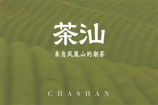 2025茶汕chashan加盟费多少钱？茶汕chashan加盟总部唯一官方网站