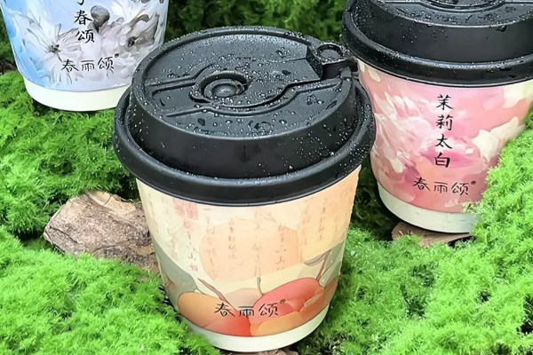 春雨颂茶局加盟费用明细表2025,春雨颂茶局加盟条件和费用收费标准(图2)