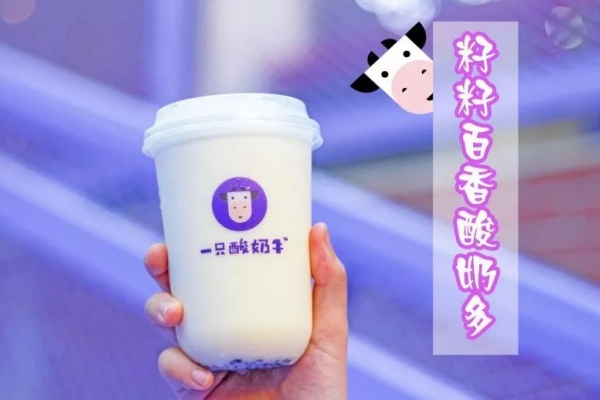 一只酸奶牛加盟费是多少，一只酸奶牛加盟费明细表(图5)